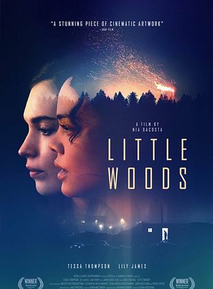 Cartel de  Little Woods